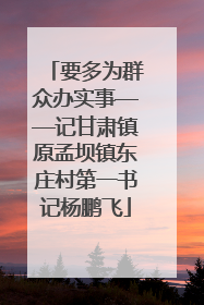 要多为群众办实事——记甘肃镇原孟坝镇东庄村第一书记杨鹏飞